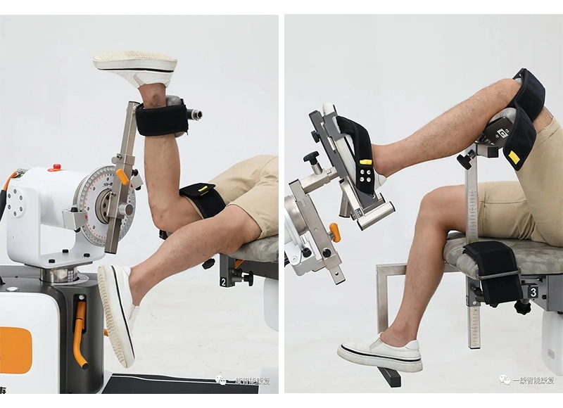 Fitness Isokinetic Strength Training and Joint Mobility Assessment Rehabilitation Gym Equipment